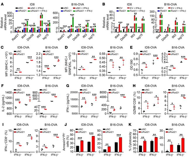 OVA257-264 (SIINFEKL) peptide bound to H-2Kb Antibody in Flow Cytometry (Flow)