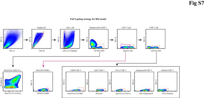 Perforin Antibody in Flow Cytometry (Flow)