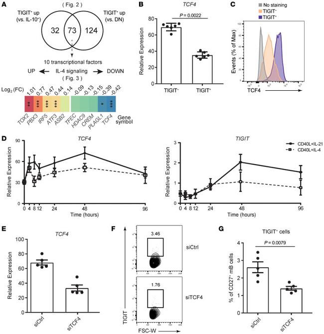 TIGIT Antibody in Flow Cytometry (Flow)