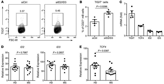 TIGIT Antibody in Flow Cytometry (Flow)