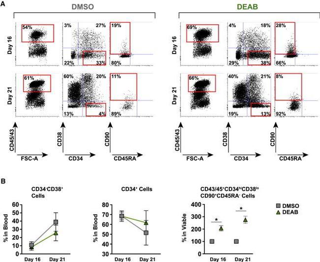 CD45 Antibody in Flow Cytometry (Flow)