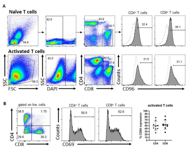 CD96 (TACTILE) Antibody in Flow Cytometry (Flow)