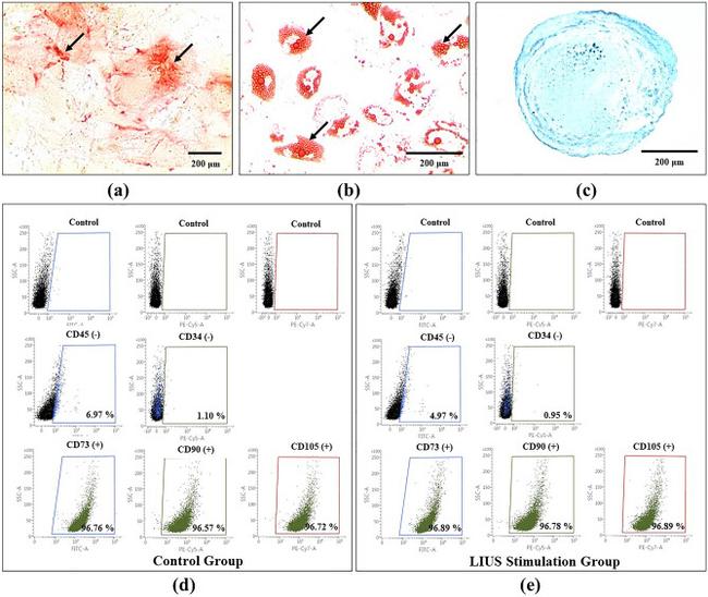 CD105 (Endoglin) Antibody in Flow Cytometry (Flow)