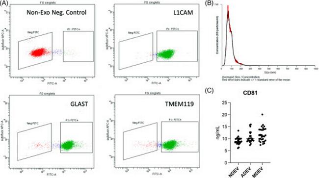 CD171 Antibody in Flow Cytometry (Flow)