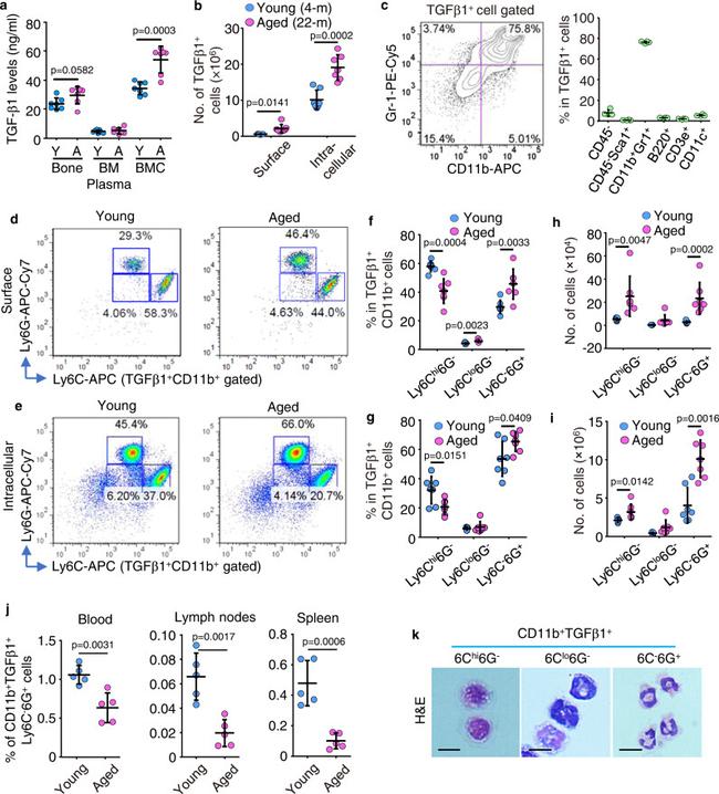 Ly-6C Antibody in Flow Cytometry (Flow)