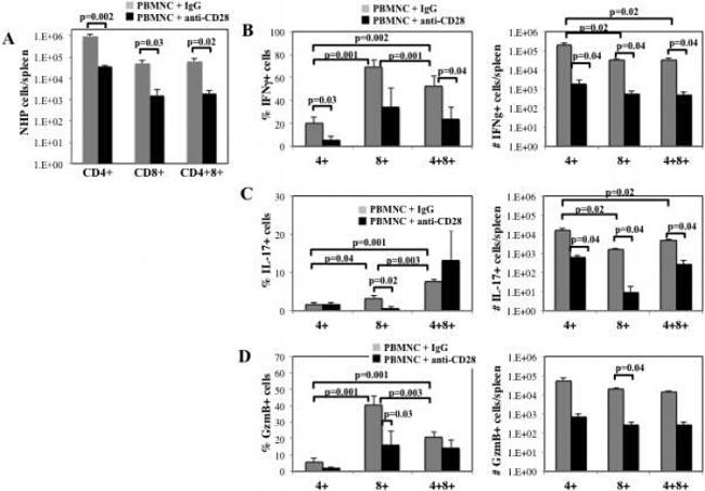 IL-17A Antibody in Flow Cytometry (Flow)