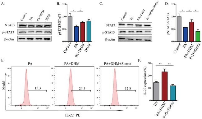 IL-22 Antibody in Flow Cytometry (Flow)