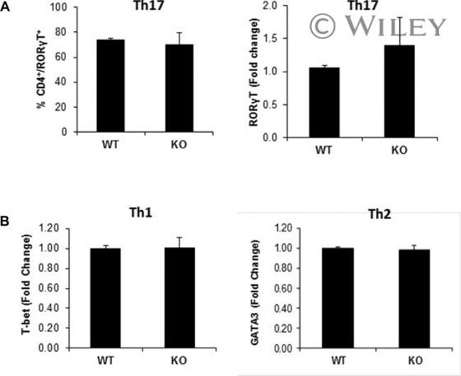 ROR gamma (t) Antibody in Flow Cytometry (Flow)