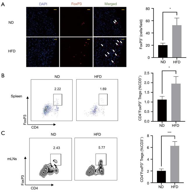 FOXP3 Antibody in Flow Cytometry (Flow)