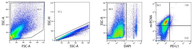 CD274 (PD-L1, B7-H1) Antibody in Flow Cytometry (Flow)