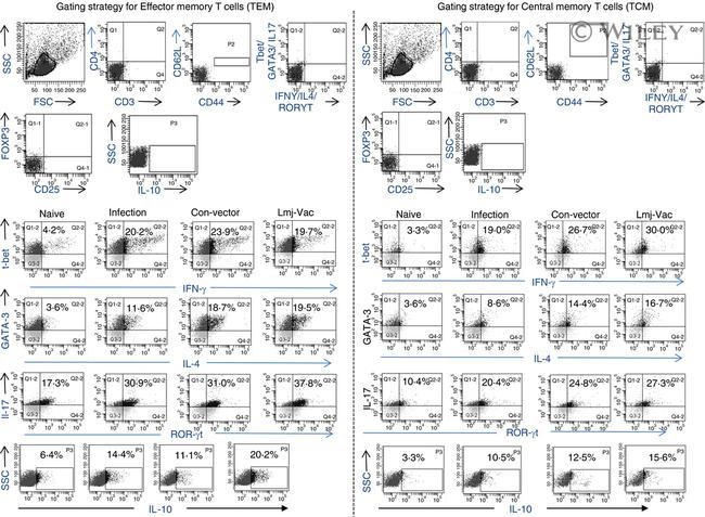 Gata-3 Antibody in Flow Cytometry (Flow)