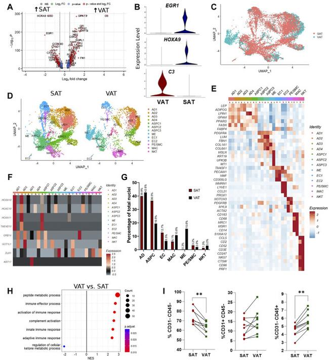 CD45 Antibody in Flow Cytometry (Flow)