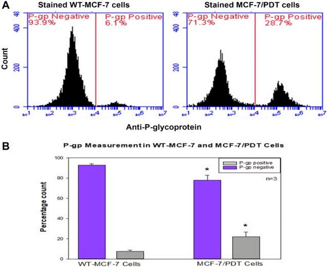 P-Glycoprotein Antibody in Flow Cytometry (Flow)