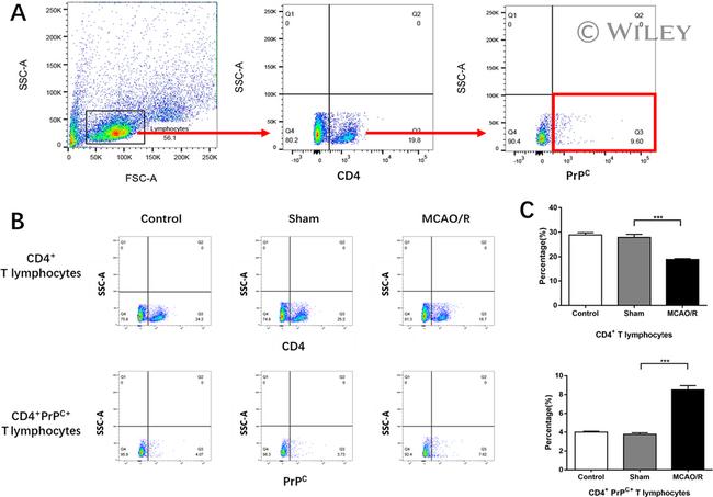 CD230 (PrP) Antibody in Flow Cytometry (Flow)