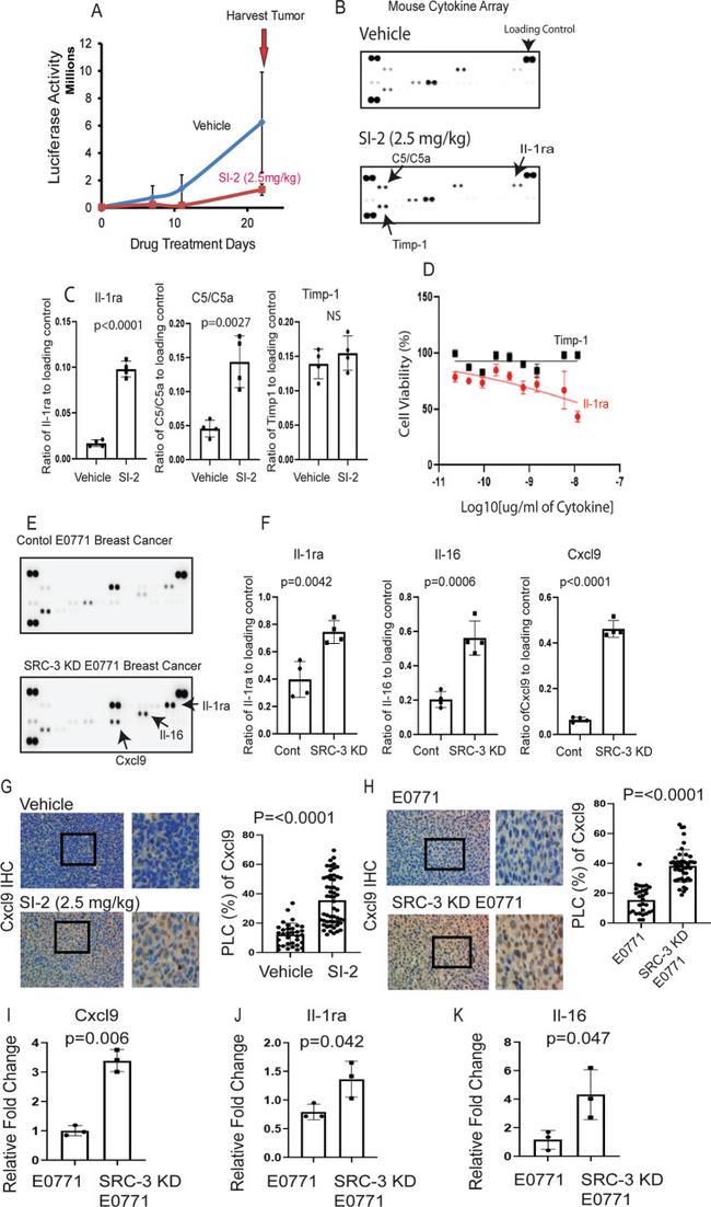 CXCL9 Antibody in Immunohistochemistry (IHC)