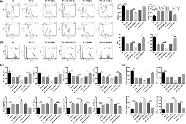 MRC1 Antibody in Flow Cytometry (Flow)