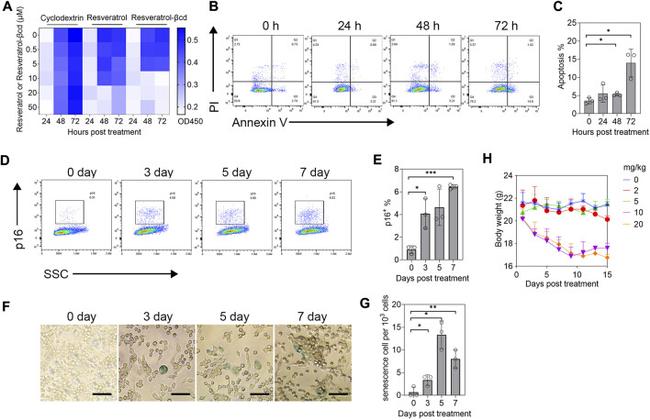 p16INK4a Antibody in Flow Cytometry (Flow)