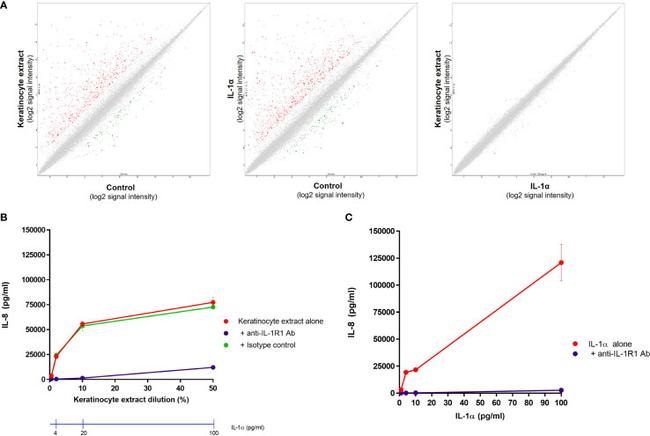 IL1R1 Antibody in Neutralization (Neu)