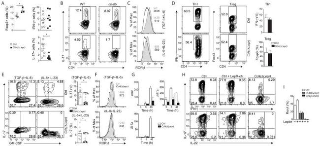 ROR gamma (t) Antibody in Flow Cytometry (Flow)