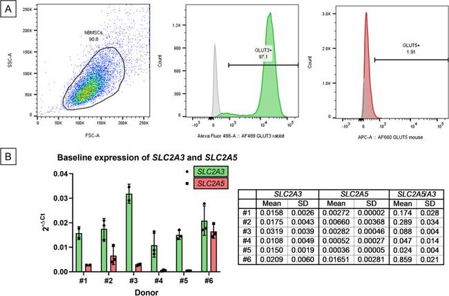 GLUT3 Antibody in Flow Cytometry (Flow)