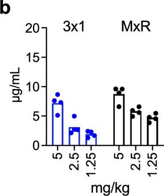 Human IgG (H+L) Cross-Adsorbed Secondary Antibody in ELISA (ELISA)