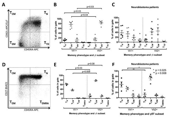 TCR V delta 1 Antibody in Flow Cytometry (Flow)