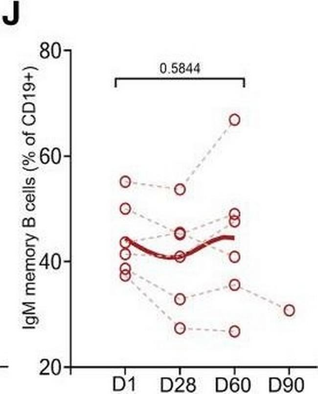 Mouse IgM (Heavy chain) Secondary Antibody in ELISA (ELISA)