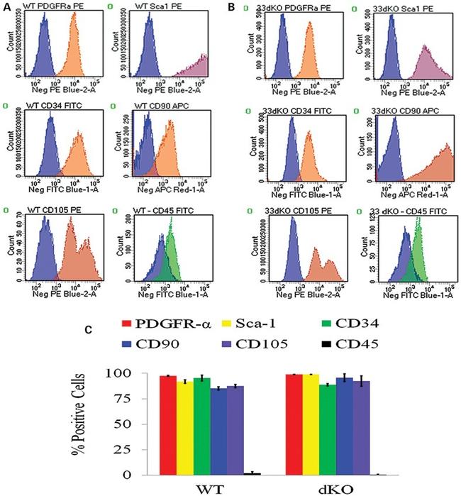 CD140a (PDGFRA) Antibody in Flow Cytometry (Flow)