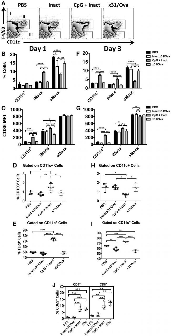 CD11c Antibody in Flow Cytometry (Flow)