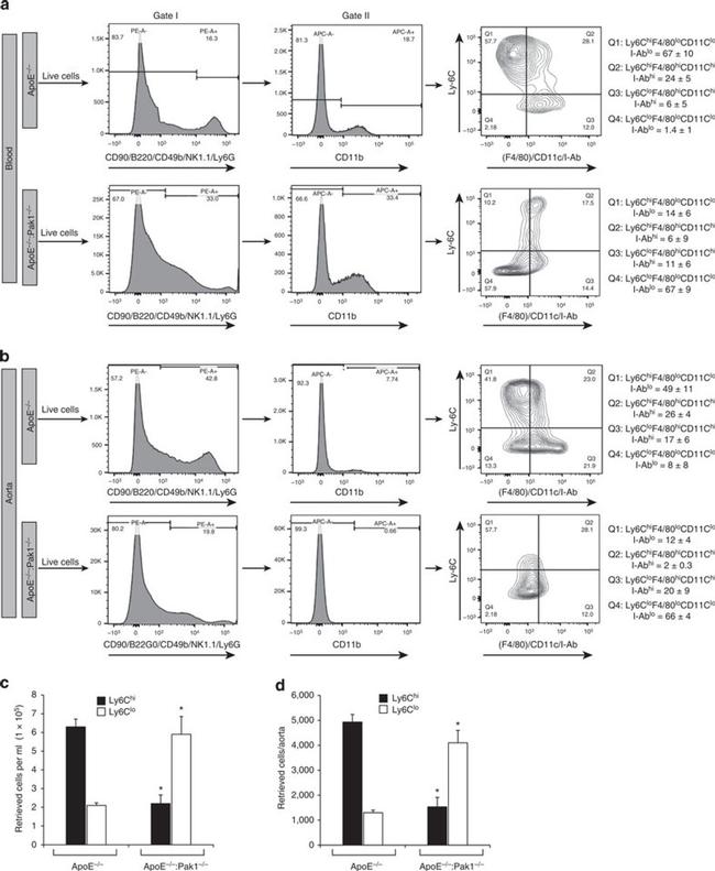 CD11c Antibody in Flow Cytometry (Flow)