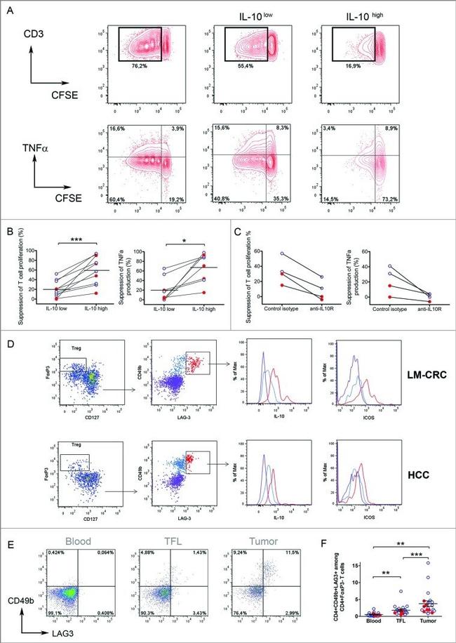 CD278 (ICOS) Antibody in T-Cell Activation (TCA)