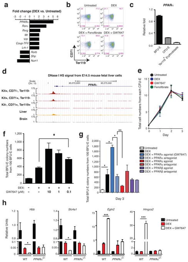 CD71 (Transferrin Receptor) Antibody in Flow Cytometry (Flow)