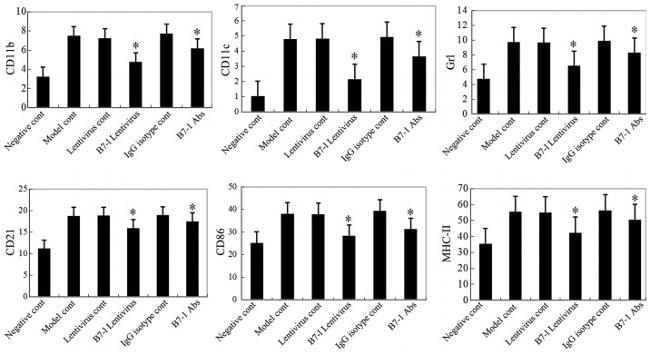 MHC Class II (I-A/I-E) Antibody in Flow Cytometry (Flow)