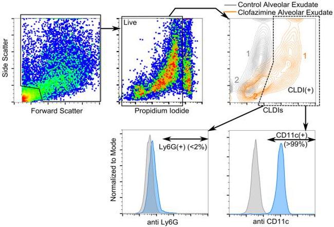 Ly-6G/Ly-6C Antibody in Flow Cytometry (Flow)