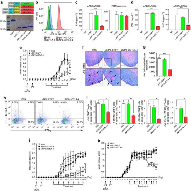 CD4 Antibody in Flow Cytometry (Flow)