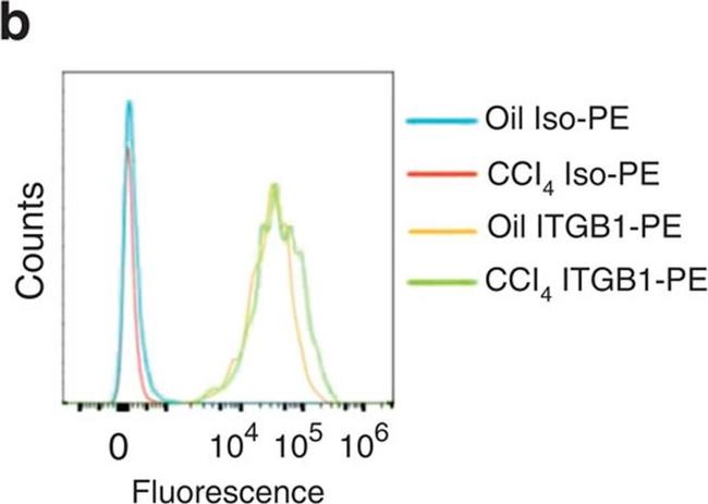 Armenian Hamster IgG Isotype Control in Flow Cytometry (Flow)