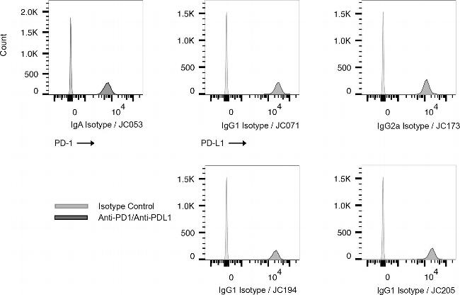 Mouse IgA Isotype Control in Flow Cytometry (Flow)