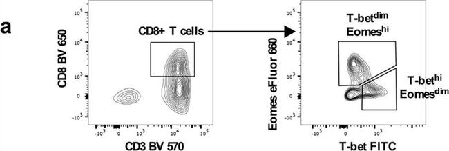 Mouse IgG1 kappa Isotype Control in Flow Cytometry (Flow)