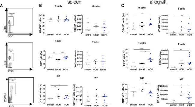 CD3 Antibody in Flow Cytometry (Flow)