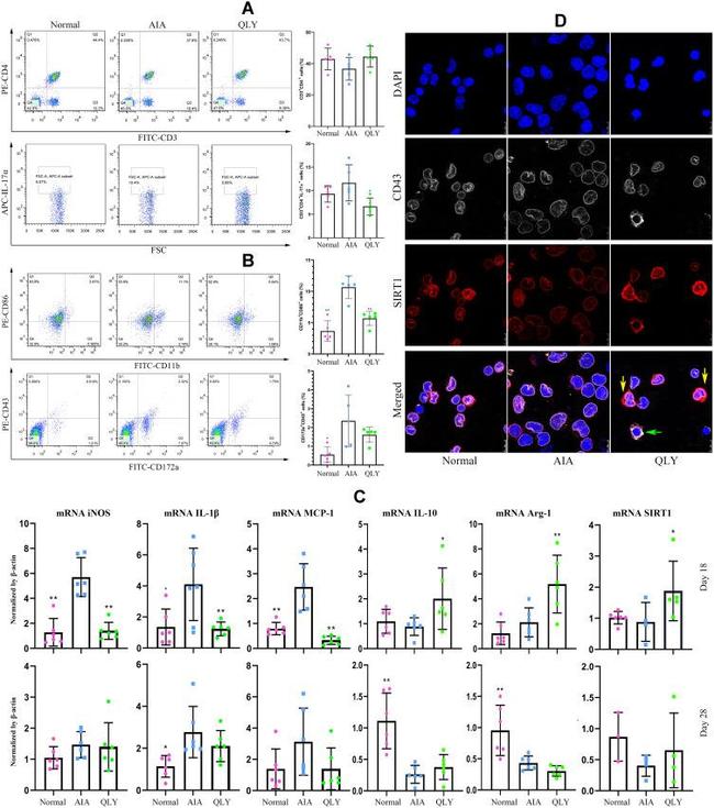 CD3 Antibody in Flow Cytometry (Flow)