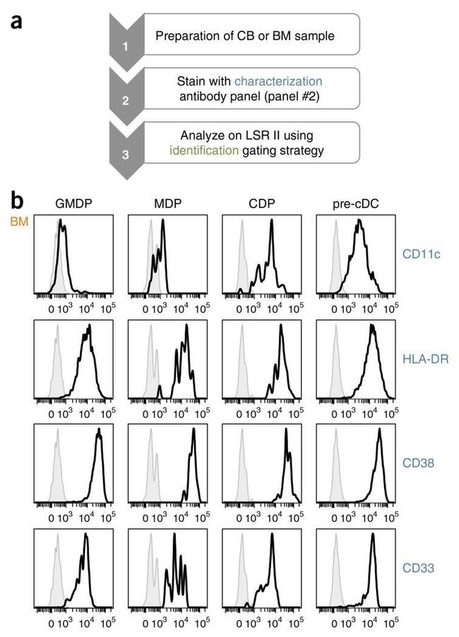 CD33 Antibody in Flow Cytometry (Flow)