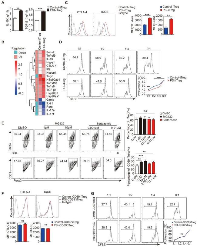 CD69 Antibody in Flow Cytometry (Flow)