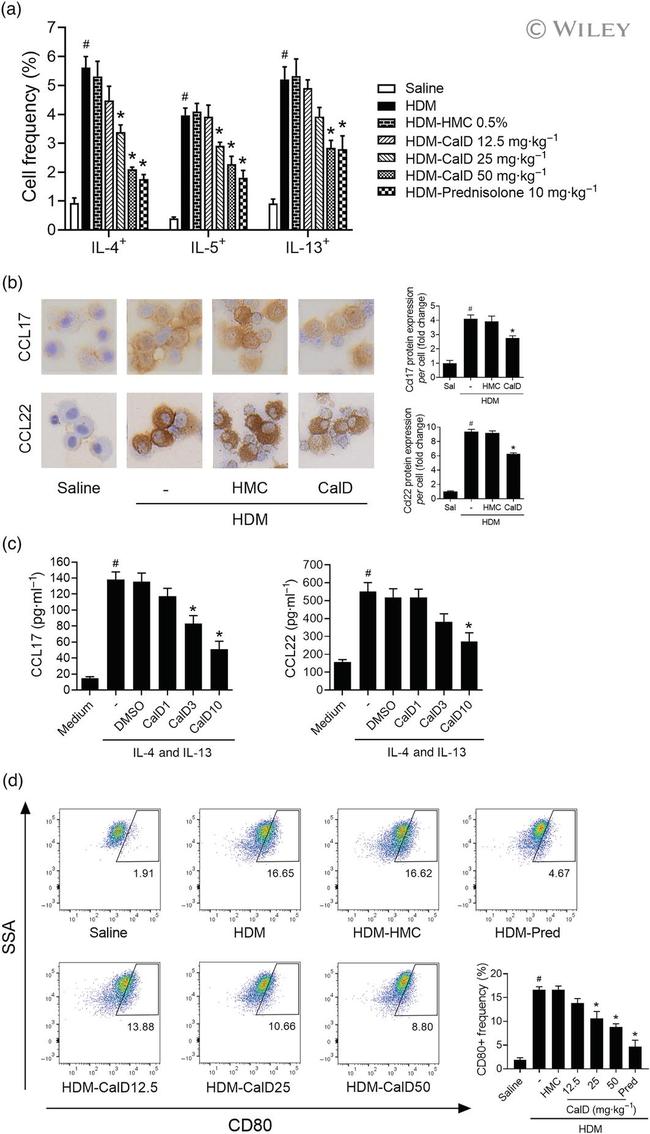 IL-13 Antibody in Flow Cytometry (Flow)