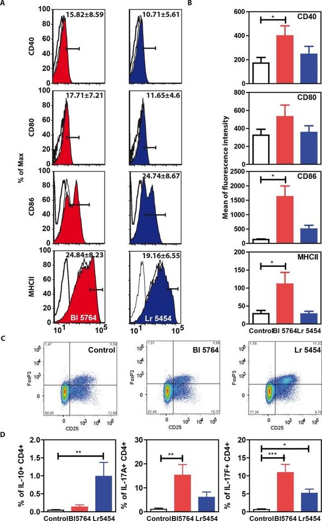 MHC Class II (I-A/I-E) Antibody in Flow Cytometry (Flow)