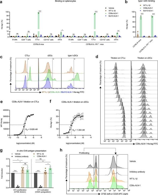 CD8a Antibody in Flow Cytometry (Flow)