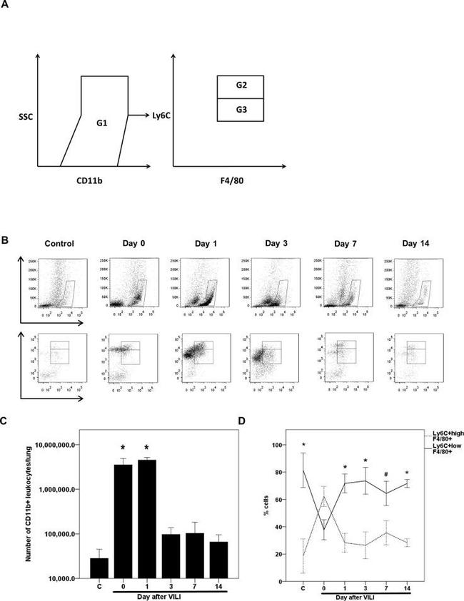 CD11b Antibody in Flow Cytometry (Flow)