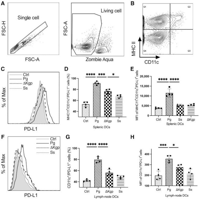 CD11c Antibody in Flow Cytometry (Flow)