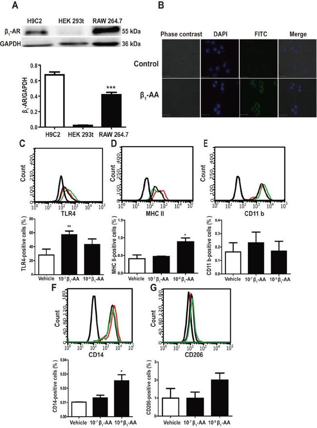 CD14 Antibody in Flow Cytometry (Flow)