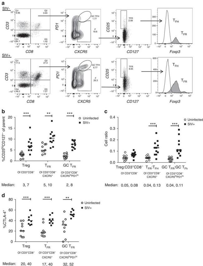 CD8a Antibody in Flow Cytometry (Flow)