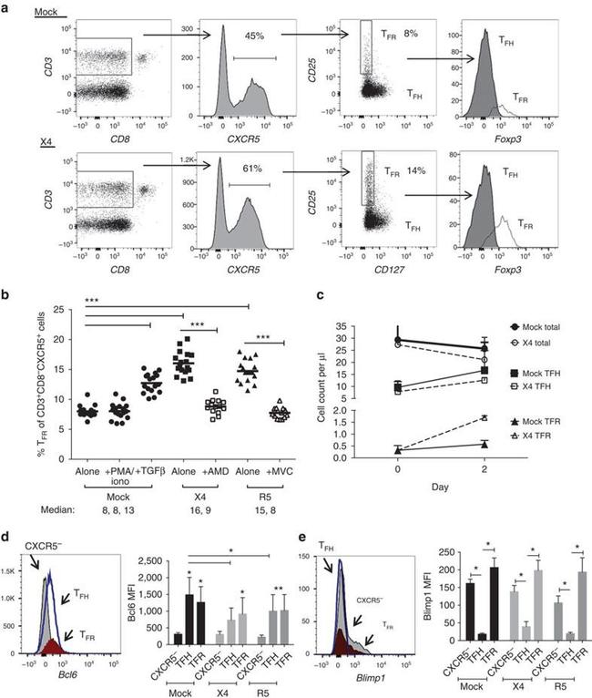 CD8a Antibody in Flow Cytometry (Flow)